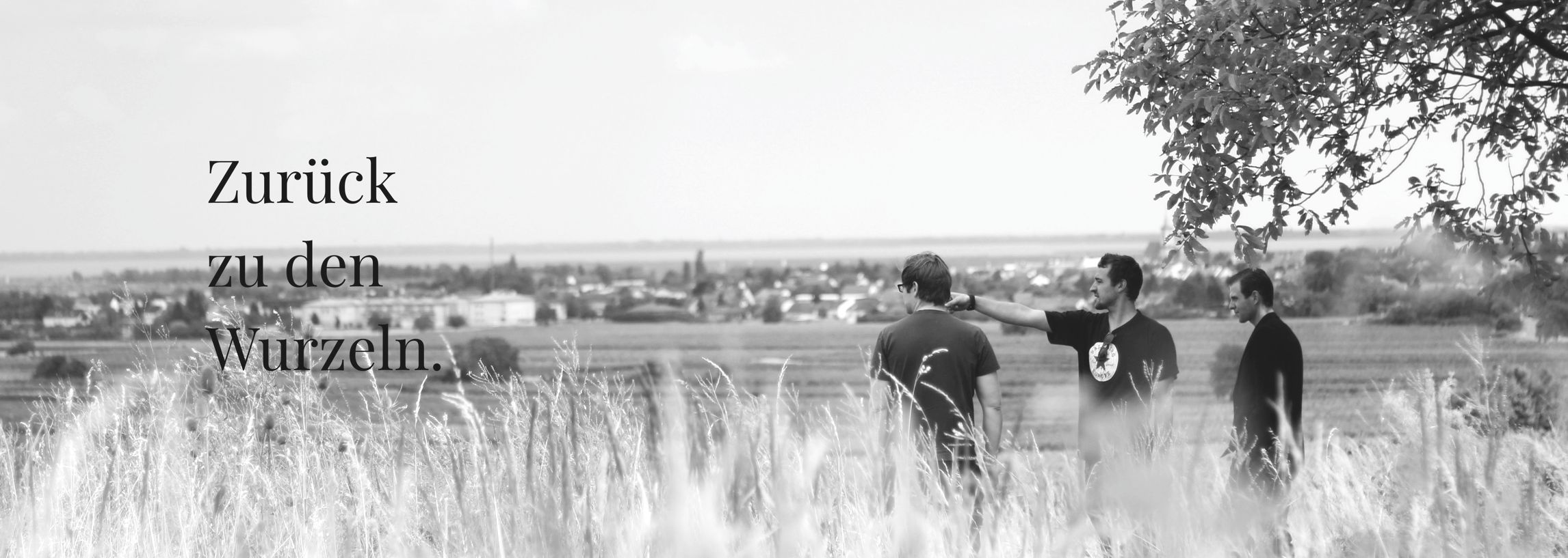 Weingut Ceel Rust Neusiedlersee Falstaff